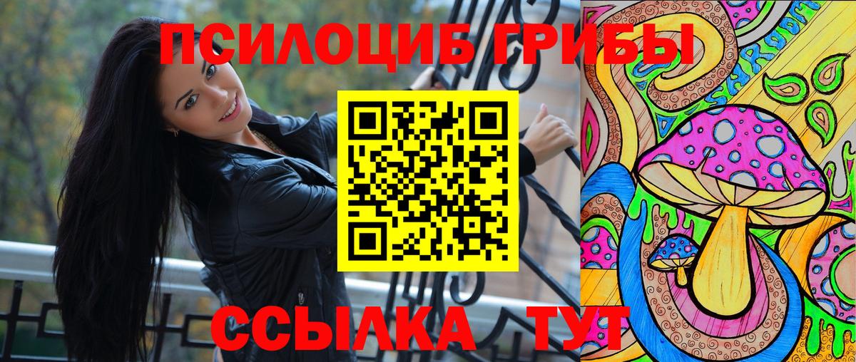 Псилоцибиновые грибы GOLDEN TEACHER Гагарин